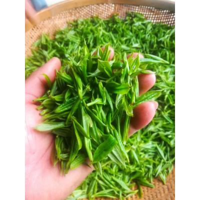 湘金蕊綠茶黃金茶綠茶云臺(tái)山茶永州茗茶雙牌特產(chǎn)
